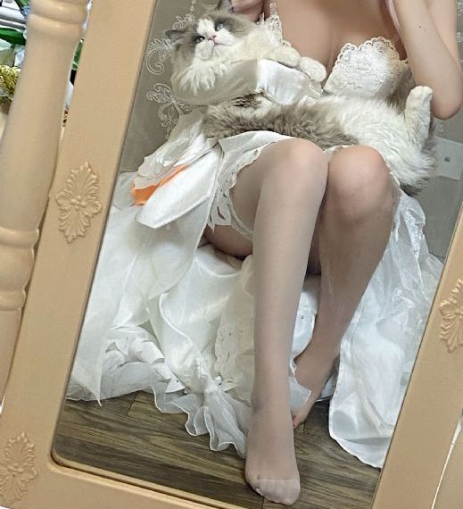 xl上司免费在线观看